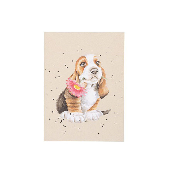 Wrendale  Small Notebook | Basset Hound Dog Just for You