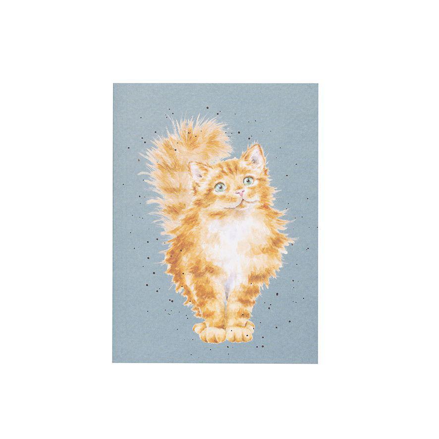 Wrendale  Small Notebook | Just Purr-fect Cat