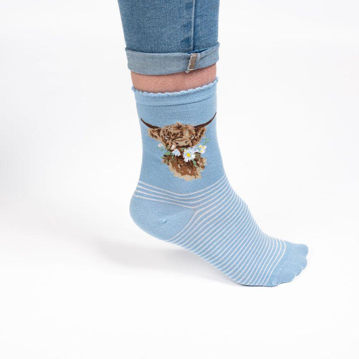 Wrendale Socks | Daisy Coo Highland Cow