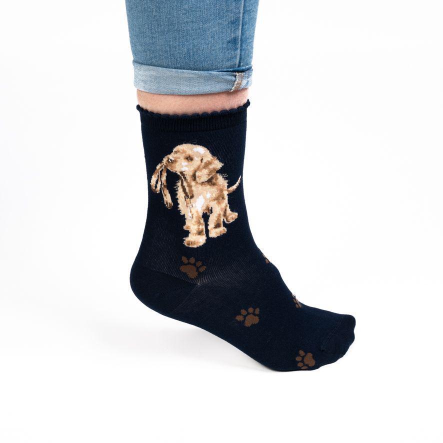 Wrendale Socks | Hopeful Dog Navy